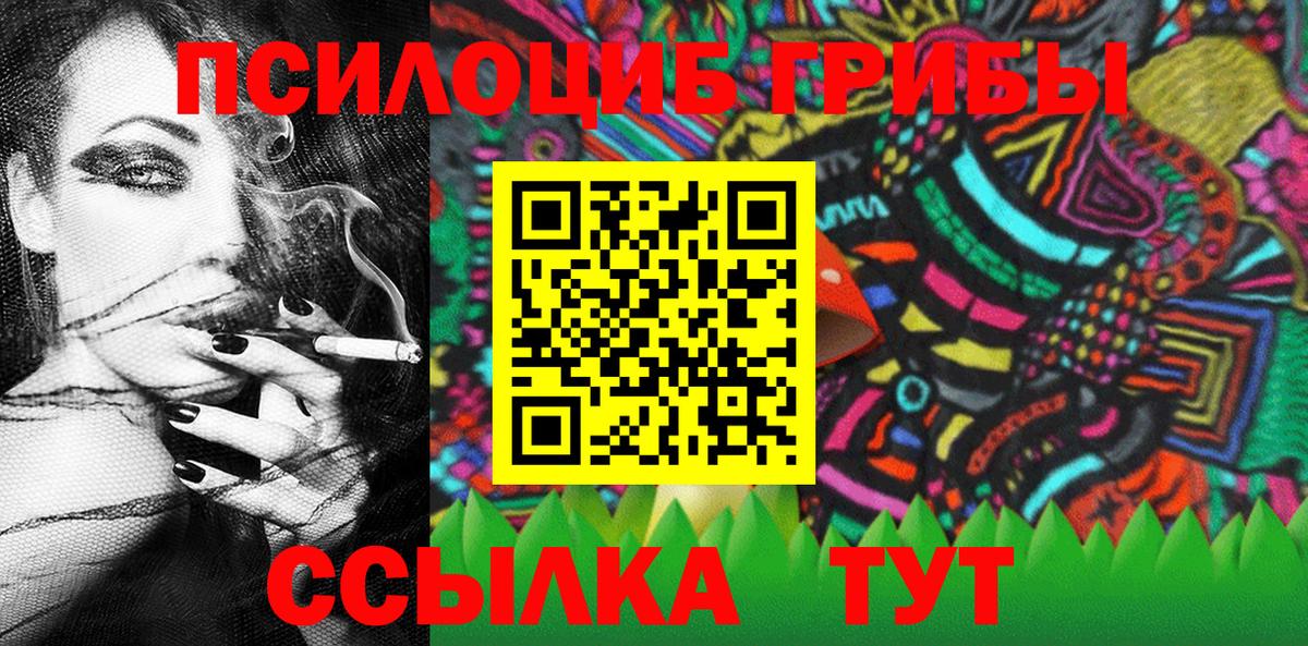 Галлюциногенные грибы Psilocybe  Вход с VPN  Мирный 