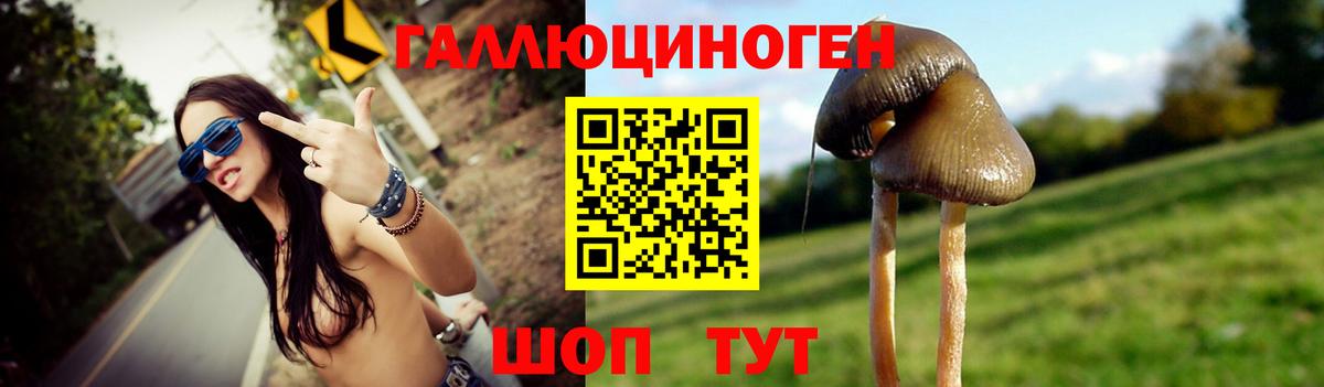 Псилоцибиновые грибы GOLDEN TEACHER Мирный